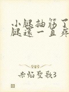 小腿抽筋了然后腿还一直疼着