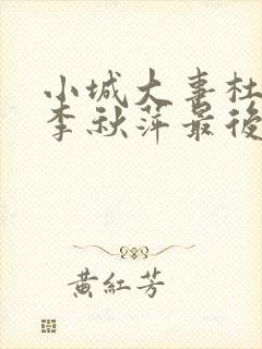 小城大事杜涛和李秋萍最后在一起了吗