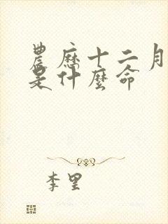 农历十二月出生是什么命封面