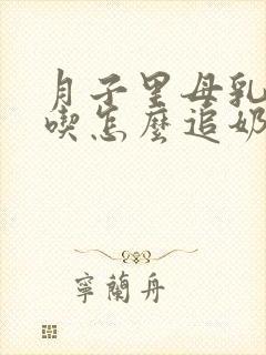 月子里母乳不够吃怎么追奶封面