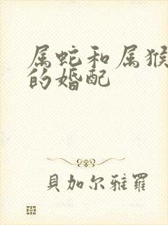 属蛇和属猴的人的婚配