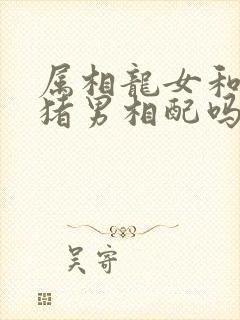 属相龙女和属相猪男相配吗