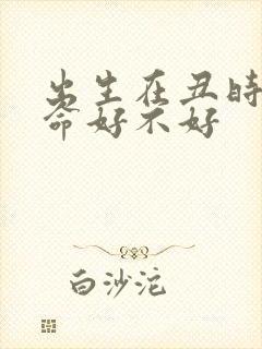 出生在丑时的女命好不好封面