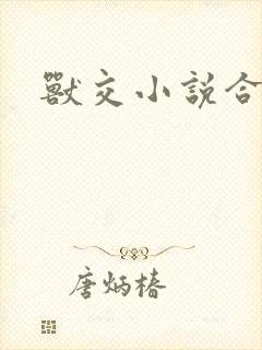 兽交小说合集封面