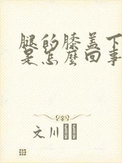 腿的膝盖下方疼是怎么回事