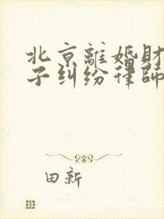 北京离婚财产房子纠纷律师