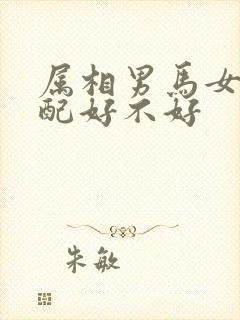 属相男马女龙婚配好不好封面