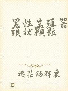 男性生殖器长乳头状颗粒