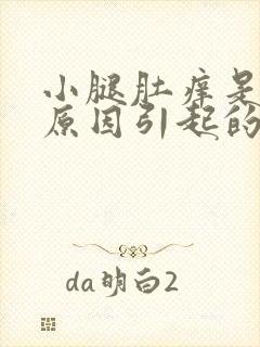 小腿肚痒是什么原因引起的