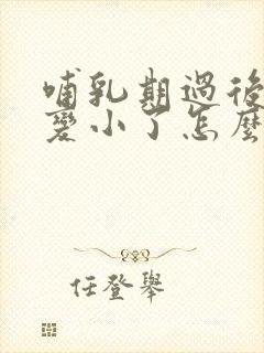 哺乳期过后胸部变小了怎么办封面