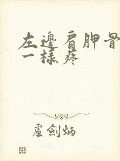 左边肩胛骨针扎一样疼