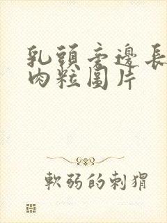 乳头旁边长了小肉粒图片