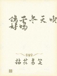 鸽子冬天吃高粱好吗