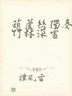 葫芦丝独奏曲 竹林深处