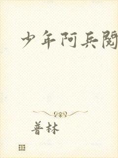 少年阿兵阅读封面