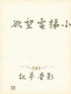 欲望电梯小说封面