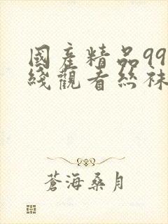 国产精品99在线观看丝袜美腿封面