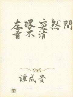 左眼突然间模糊看不清封面