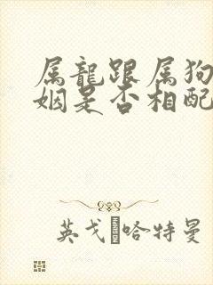 属龙跟属狗的婚姻是否相配