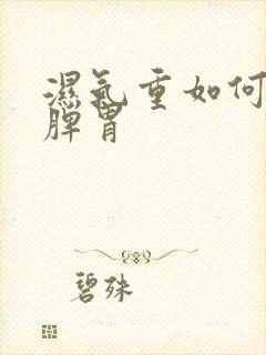 湿气重如何调理脾胃