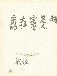 宋太宗是赵匡胤的什么人