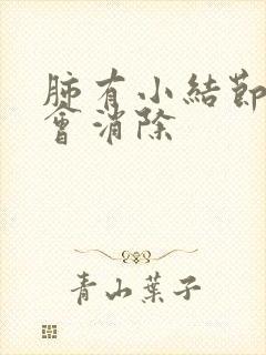 肺有小结节会不会消除