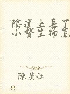 阴道上长了很多小赘生物怎么办