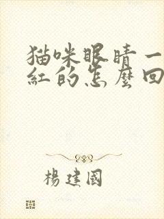 猫咪眼睛一圈红红的怎么回事