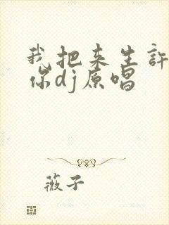 我把来生许给了你dj原唱封面