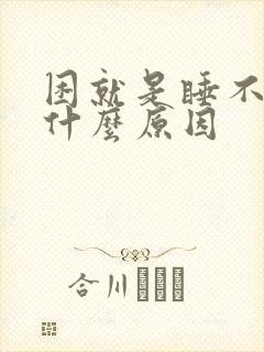 困就是睡不着是什么原因