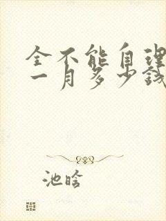 全不能自理老人一月多少钱