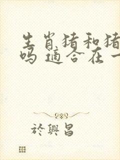 生肖猪和猪相配吗 适合在一起吗