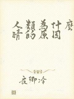 人类为什么眨眼睛的原因