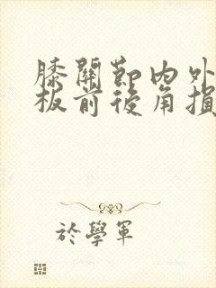 膝关节内外半月板前后角损伤