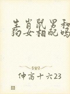 生肖鼠男和生肖狗女相配吗