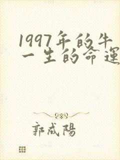 1997年的牛一生的命运