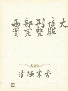 西部刑侦大案纪实完整版