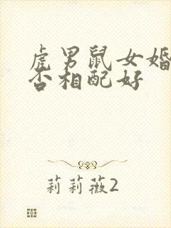 虎男鼠女婚姻是否相配好