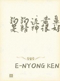 狗狗流黄鼻涕但是精神很好