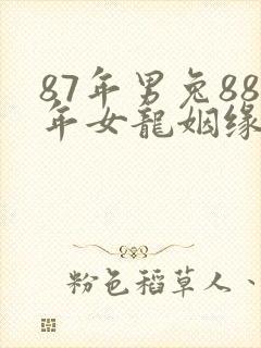 87年男兔88年女龙姻缘