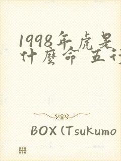 1998年虎是什么命 五行属什么封面