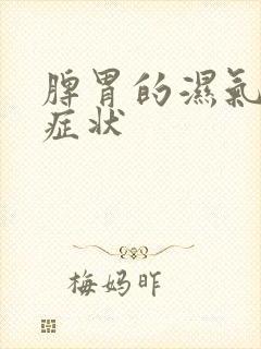 脾胃的湿气重的症状