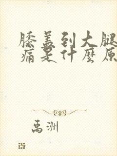 膝盖到大腿上疼痛是什么原因呢