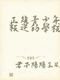 正规青少年教育叛逆的学校封面