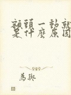 额头一动就出汗是什么原因