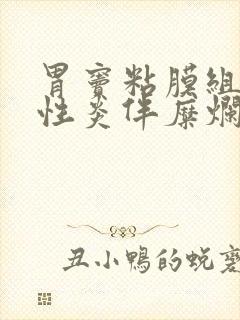 胃窦粘膜组织慢性炎伴糜烂