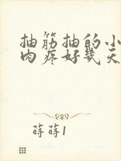 抽筋抽的小腿肌肉疼好几天封面