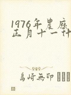 1976年农历正月十一什么命