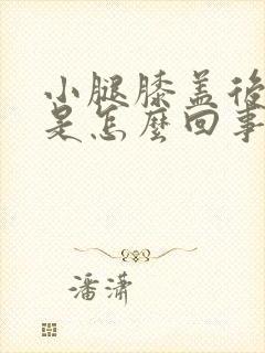 小腿膝盖后筋疼是怎么回事