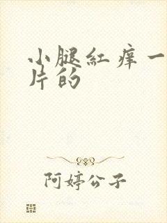 小腿红痒一片一片的封面